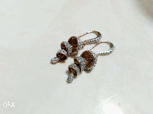 Silver And Brown Earrings