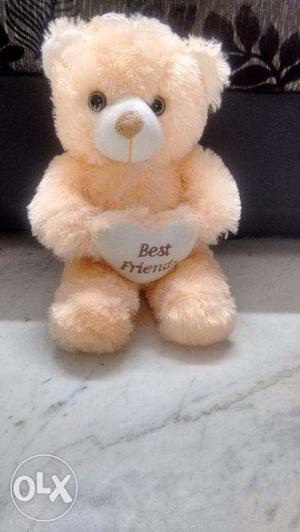 Brand new teddy bear