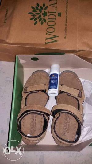 Brown Woodland Hiking Sandals In Box