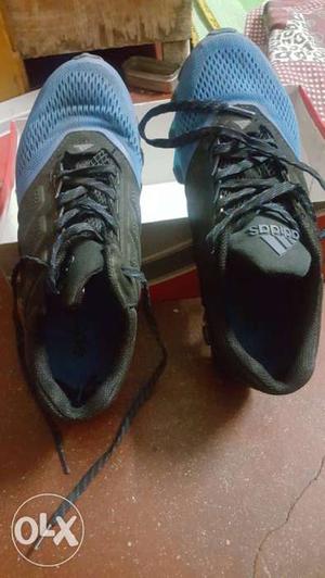 Pair Of Blue-and-black Adidas Running Shoes