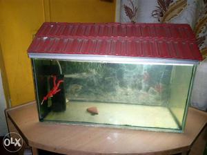 2 Feet Fish Tank with 2 Top Cover