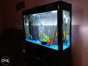 3 feet Boyu Moulded acrylic tank, Touch screen