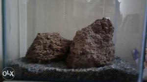 Aquarium rocks from sunderban...