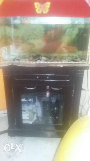 Aquarium with wooden stand