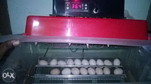 Egg incubator