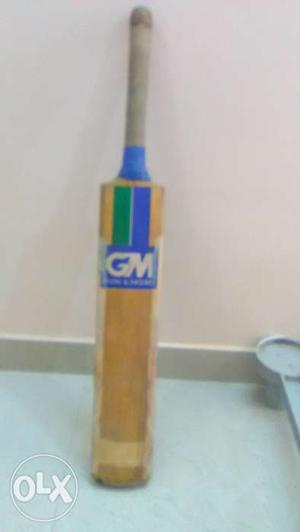 GM original leather ball Cricket bat in good