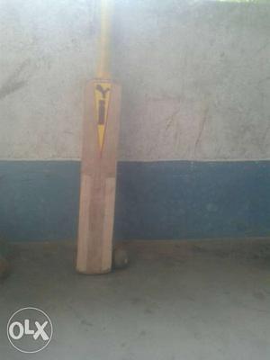 Good condition full boundary bat 2 month old