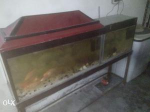 My.aquarium is 5 ft.parted by 2&3 ft. equipped