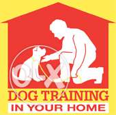 Ocean ark kennel Dog hostel and training centre
