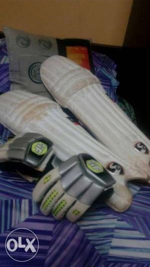 SG youth size batting pads and SF youth size