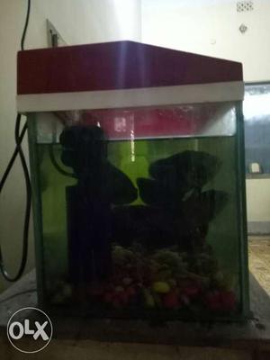 1.5 aquarium with good condition, under water filter