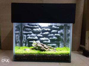 1 feet small plantation tank with 3D background