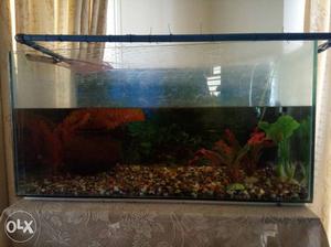 3foot fish tank. with gravel, plants and sera filter+ sera