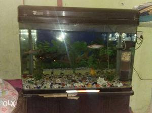 Aquarium in new condition...with all items