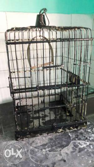 Bird Cage | Big Cage | Price Is Negoitable | coluring on