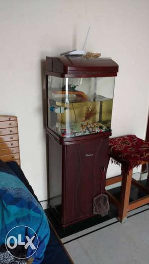 Fish Aquarium with cup-board stand underneath.