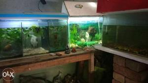 Full aquarium mini store sell very low price