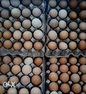 Organic Brown eggs- Desi anda