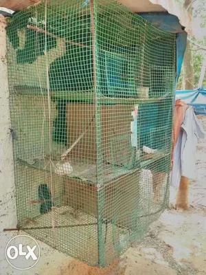 Six rack cage suitable for all breeding birds