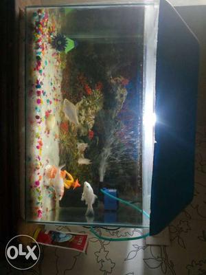 White Framed Fish Tank