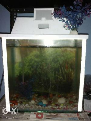 White Wooden Frame Fish Tank