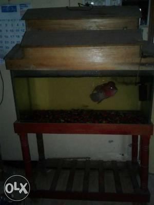 Am going sale my fish tank,stand,Top.. interested pls inbox