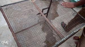Birds and pigeon cage for sale
