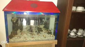 Blue And Red Frame fish Tank