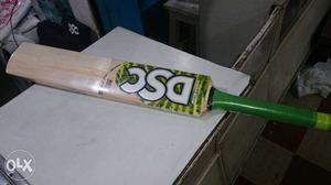Dsc roar hunter kashmir willow cricket bat