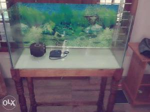 Fish Aquarium with additional stand, stones,motor,filter