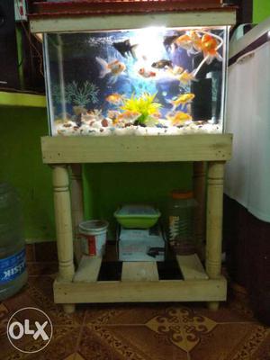Fish tank and stand only length 22 inch height 12