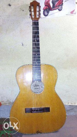I want to sell my 6 month used hobner guitar