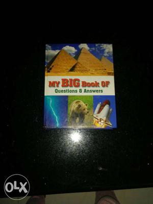 My Big Book Of Questions & Answers Book