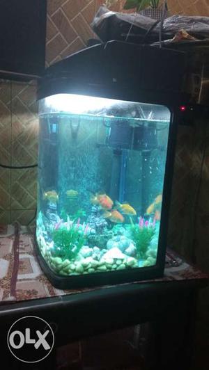 Very Beautiful without fish aquarium in very good