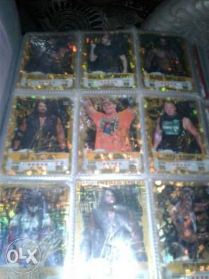 Wwe takeover file cards of 173