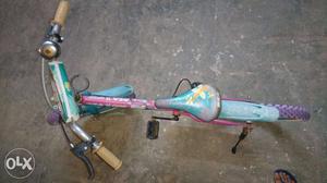 20' Toddler's Teal And Purple Floral Bicyle