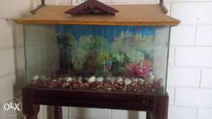 Aquarium,with stand,cover,stones and other