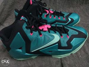 Brand new Nike lebron basketball shoes, size10,