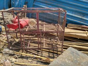 Good Condition Cage For Sell contact