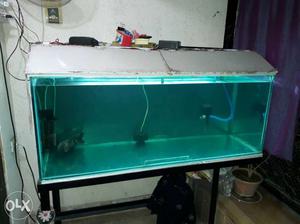 Gray Framed Aquarium