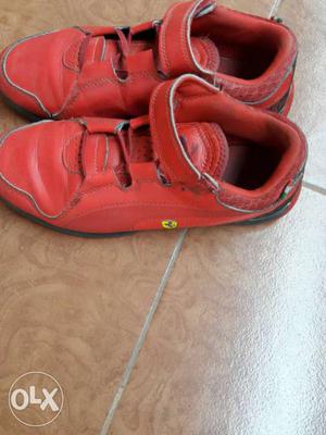 Puma ferrari shoes..used for 5 months for 5-7 yrs