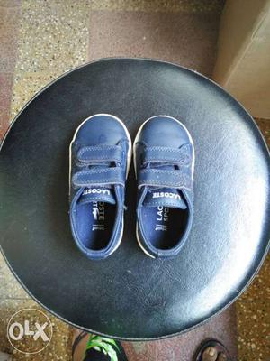 Toddler's Blue Lacoste Low Tops Sneakers