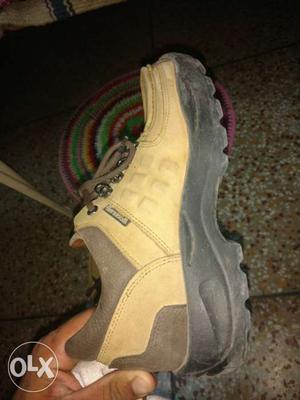 Oosm condition nd 2 months old shoeed in shorum