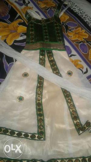 Green And Beige Sari