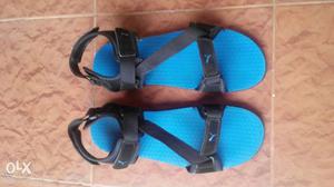 Pair Of Blue-and-black Puma Sandals