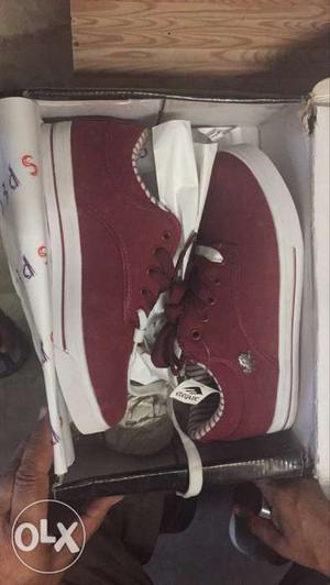 Red Low Top Sneakers In Box