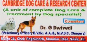 Door to Door Dogs Treatment Facility Available