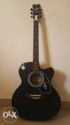 Godson Acoustic Guitar - One year old but not