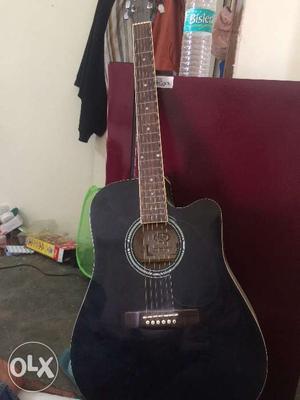 Kaps acoustic guitar worth  a new