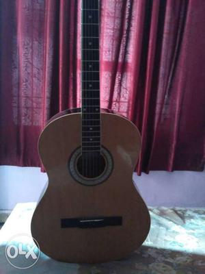 Pluto Brown Wooden Acoustic Guitar